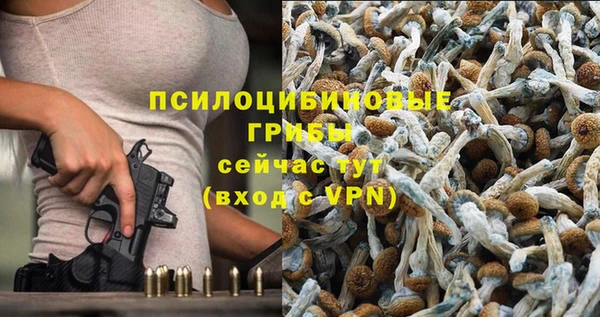 MDMA Нязепетровск