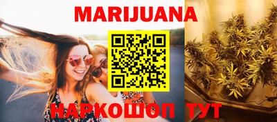 индика Волгодонск