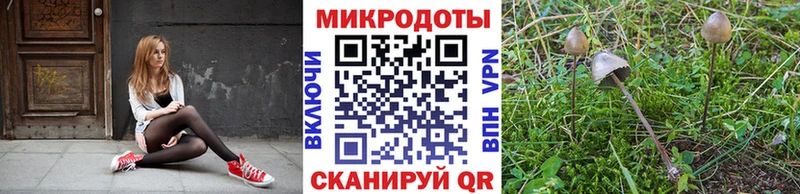 Псилоцибиновые грибы ЛСД  Зеленокумск 