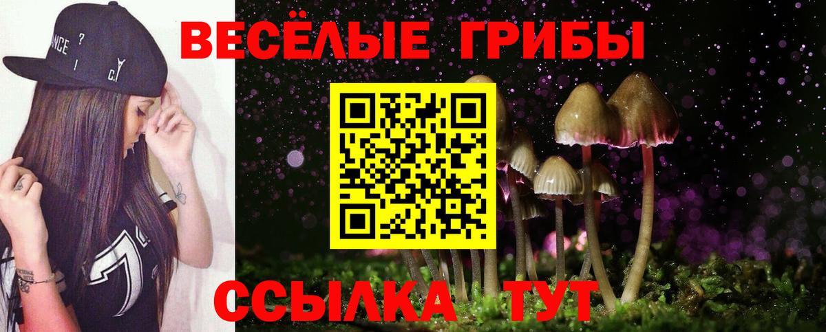 Зеленокумск  Псилоцибиновые грибы GOLDEN TEACHER  Вход с VPN 