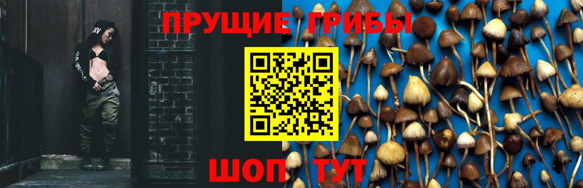 Галлюциногенные грибы Magic Shrooms Зеленокумск